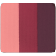 Freedom System Eye Shadow Rainbow MATTE NF 148
