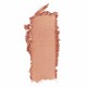 Multicolour System Highlighting & Bronzing Powder 11