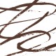 INGLOT PLAYINN Liquid Eyeliner What a Line! 24