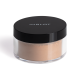 Perfect Finish Loose Powder 14