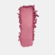 FREEDOM SYSTEM Radiant Skin Face Blush SS26 128