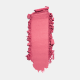 FREEDOM SYSTEM Radiant Skin Face Blush SS26 305